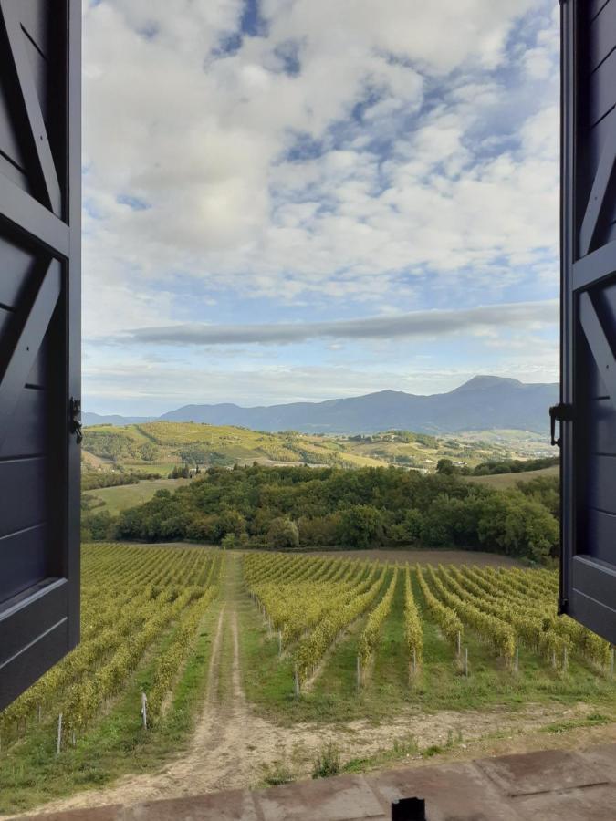 Tenuta Grimaldi Wine Resort Matelica Ngoại thất bức ảnh