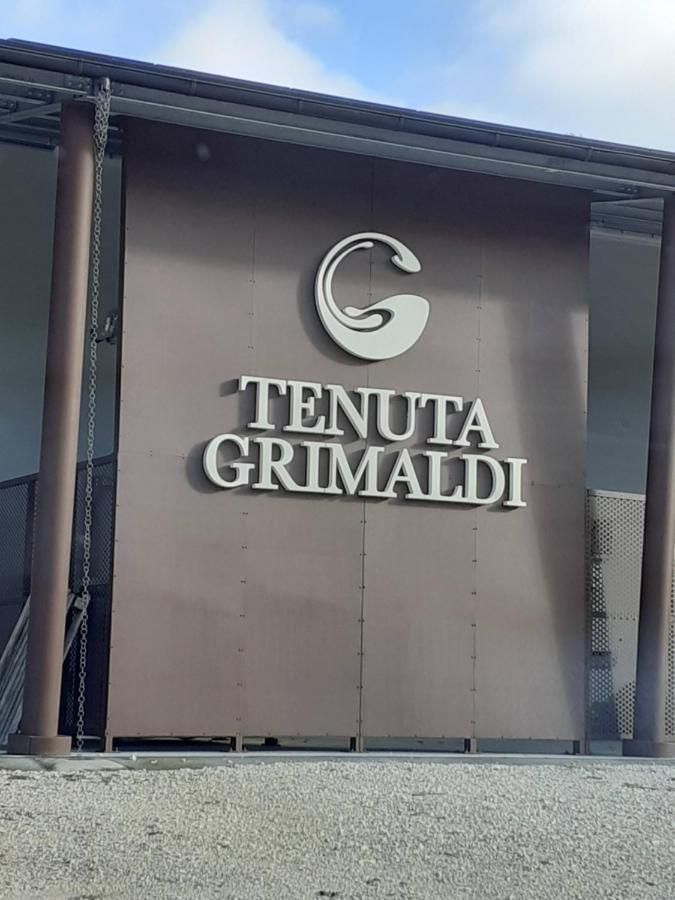 Tenuta Grimaldi Wine Resort Matelica Ngoại thất bức ảnh