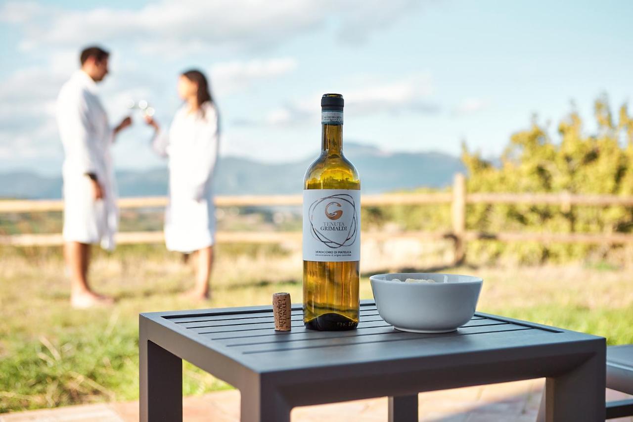 Tenuta Grimaldi Wine Resort Matelica Ngoại thất bức ảnh